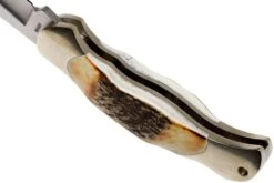Böker Junior Scout 111910 Stag, Navaja -Böker Ventas BO111910 05 boker