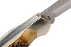 Böker Junior Scout 111910 Stag, Navaja -Böker Ventas BO111910 06 boker