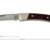 Buck 503 Prince 0503RWS-B, Palisandro -Böker Ventas BUCK0503RWS B 01 buck 503 prince knife buck0503rws b 01