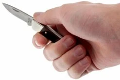 Buck 503 Prince 0503RWS-B, Palisandro -Böker Ventas BUCK0503RWS B 05 buck 503 prince knife buck0503rws b 05