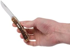 Case Sod Buster Jr Amber Jigged Bone, 245 6137 SS Navaja -Böker Ventas CE245 09 case ce245 09