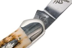 Case Canoe Amber Jigged Bone, 00263, 62131 CV Navaja -Böker Ventas CE263 07 case ce263 07