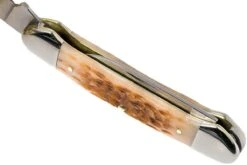 Case Canoe Amber Jigged Bone, 00263, 62131 CV Navaja -Böker Ventas CE263 08 case ce263 08
