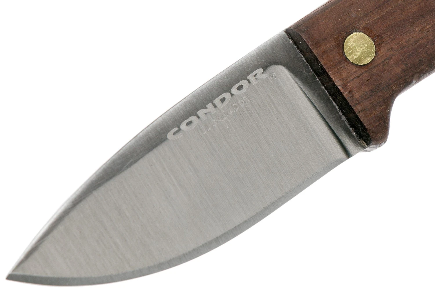 Condor Compact Kephart Knife 3936-2.57HC Cuchillo Bushcraft 63838 5 Condor Compact Kephart Knife 3936-2.57HC Cuchillo Bushcraft 63838 - Imagen 3