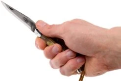 Forge Laguiole 12110INCABDF, Cuerno Aubrac -Böker Ventas LA12110INCABDF 07 forge de laguiole la12110incabdf 07