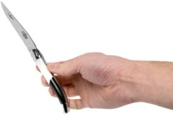 Forge Laguiole Airbus A350 1211 INAIRBUS Navaja Laguiole -Böker Ventas LA1211INAIRBUS 07 forge de laguiole