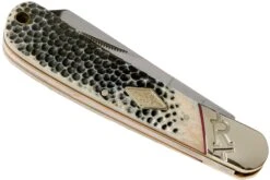 Rough Ryder Buckshot Bone Cotton Sampler RR1728 Navaja 12 Rough Ryder Buckshot Bone Cotton Sampler RR1728 Navaja -Böker Ventas RY1728 04 rough ryder